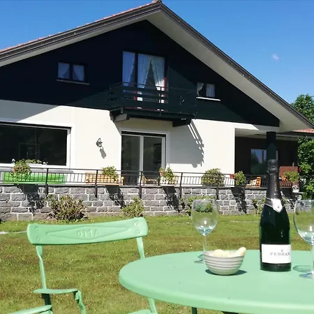 I Tulipani 斯特雷萨