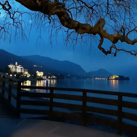 I Tulipani Stresa
