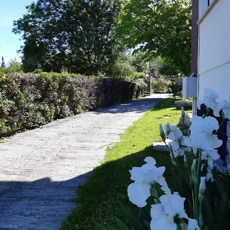 I Tulipani * Στρέσα